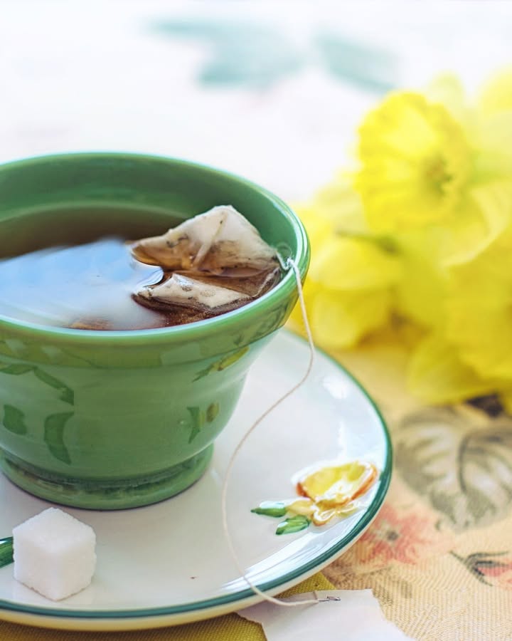 Featured image for “Biggest Morning Tea Fundraiser at The Arbor Café: $12 Tickets for Cancer Research”