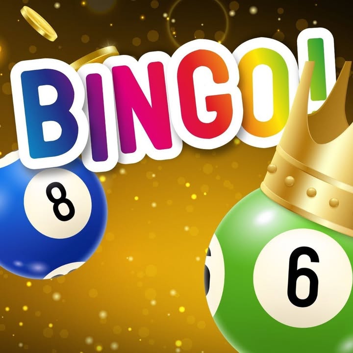 Featured image for “Bingo Games Every Week at Singleton Diggers”
